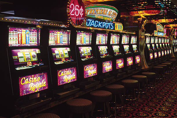 Mega Moolah slot game interface on tanah189 showing wildlife symbols and reel layout